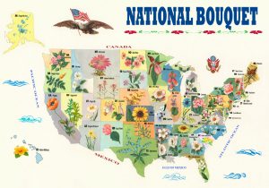 National Bouquet of the United States - State Flower Map