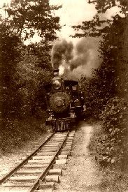 A train through the woods